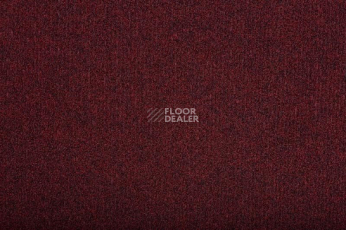 Грязезащитные покрытия Vebe Andes Andes Pd 40 фото 1 | FLOORDEALER